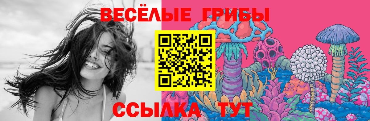 Галлюциногенные грибы прущие грибы Кирово-Чепецк